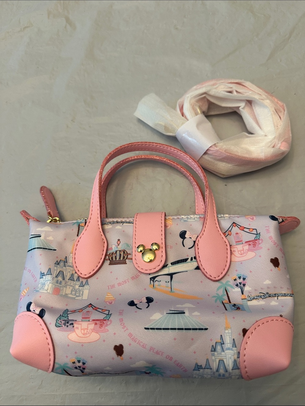 Disney x Stoney Clover DisneyWorld Pouchette Crossbody